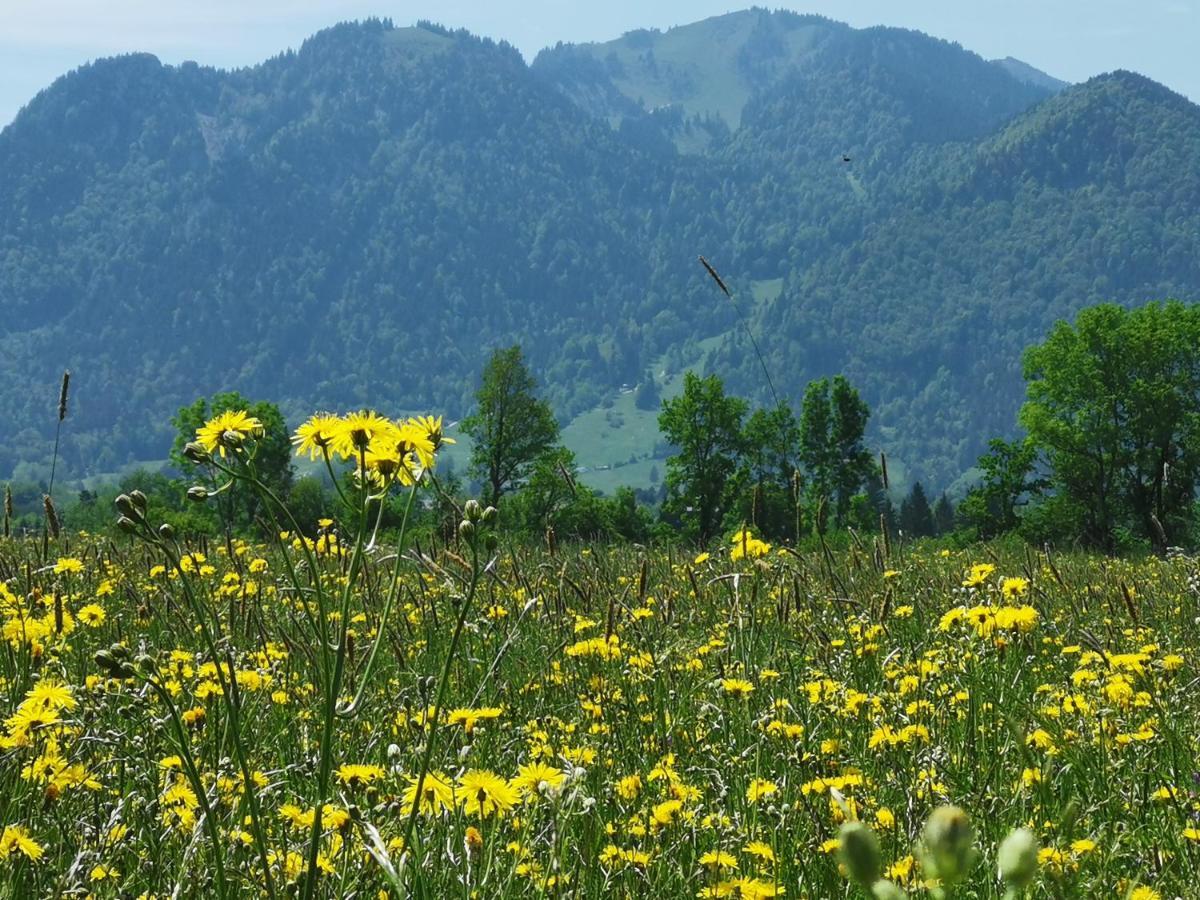 Landhaus Am Arzbach บัดเทิลซ์ ภายนอก รูปภาพ